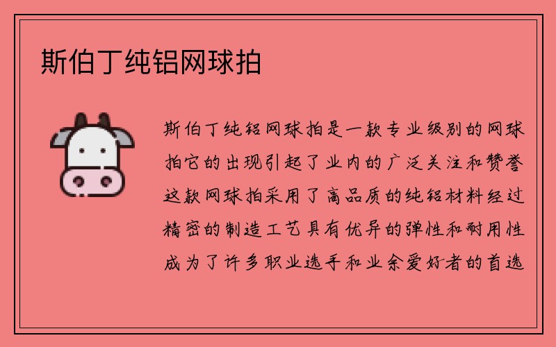 斯伯丁纯铝网球拍