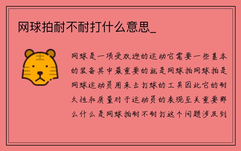 网球拍耐不耐打什么意思_